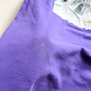 90's "made in USA" HANES 風景 両面プリント Tシャツ