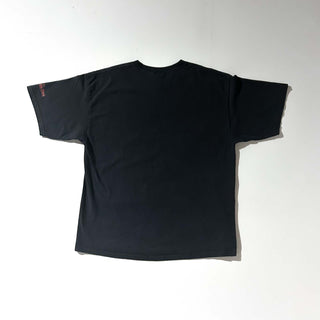 00's Disney "I'M SURROUNDED BY IDIOTS" ライオンキング キャラクター Tシャツ