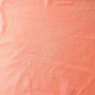 90's "MADE IN USA" Champion ロゴプリント フェード Tシャツ (ピンク)