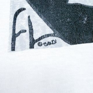 90's "made in USA" anvil アート プリント Tシャツ