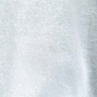 90's "made in USA" Fruit of the Loom "THE EVOLUTION OF AUTHORITY" プリント Tシャツ