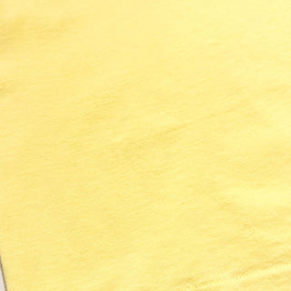 90's "made in USA" FRUIT OF THE LOOM "PAN-MASS CHALLENGE" 両面プリント Tシャツ