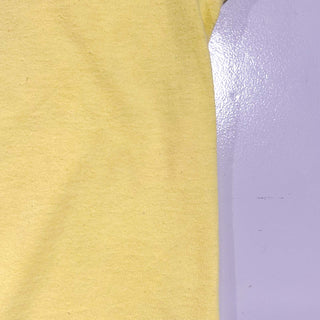 90's "made in USA" FRUIT OF THE LOOM "PAN-MASS CHALLENGE" 両面プリント Tシャツ