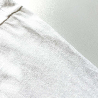 90's "made in USA" Fruit of the Loom "THE EVOLUTION OF AUTHORITY" プリント Tシャツ