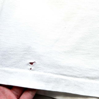 90's "made in USA" Fruit of the Loom "THE EVOLUTION OF AUTHORITY" プリント Tシャツ