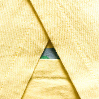 90's "made in USA" FRUIT OF THE LOOM "PAN-MASS CHALLENGE" 両面プリント Tシャツ