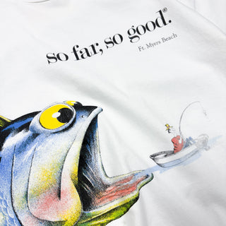 80's "made in USA" Hanes "so far, so good." グラフィック アートプリントTシャツ