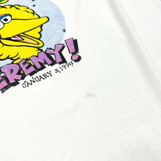 90's "made in USA" Sesame Street Big Bird プリントTシャツ