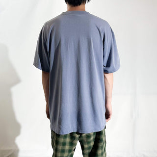 90's～ "made in USA" GILDAN "ALPENGEIST" フェード プリント Tシャツ