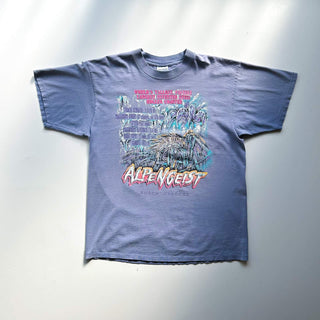 90's～ "made in USA" GILDAN "ALPENGEIST" フェード プリント Tシャツ