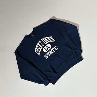 80's "made in USA" SOFFE "CREDIT UNION STATE" カレッジ スウェット シャツ