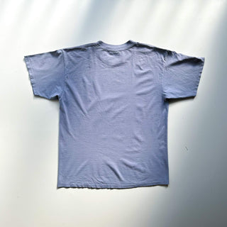 90's～ "made in USA" GILDAN "ALPENGEIST" フェード プリント Tシャツ