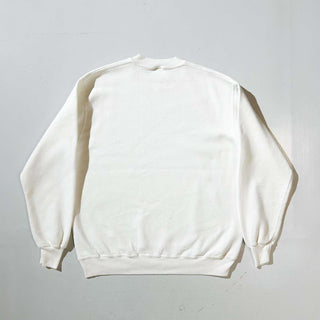 80's～ "made in USA" JERZEES B.Johnson "A Day in the Wilderness" アート プリント スウェット シャツ