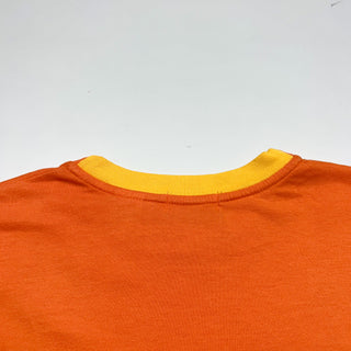 80's "made in SINGAPORE" Great lakes country 切替 ソリッドTシャツ