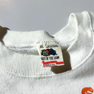 80's "made in USA" FRUIT OF THE LOOM DESERT STORM ラグラン プリント スウェットシャツ