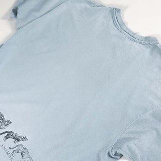 90's "made in USA" Hanes "San Diego" タイガー 巻きプリント Tシャツ