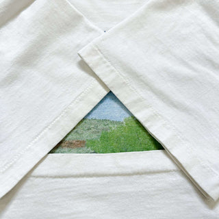 90's "Blue Grass Festival" グラフィック プリント Tシャツ