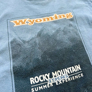90's anvil "Rocky mountain" グラフィック プリント Tシャツ