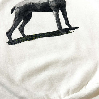 90's "made in USA" HANES "Weimaraner" ラグラン アニマル プリント スウェット シャツ