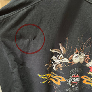 "made in USA" HARLEY DAVIDSON ワーナーブラザーズ プリントカットソー